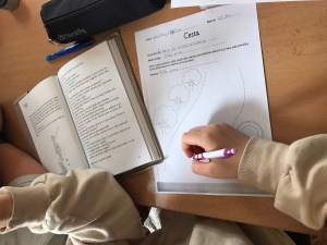 Ročníkový projekt Malý princ