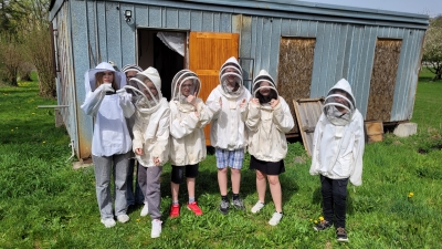 Včely – komentovaná prohlídka