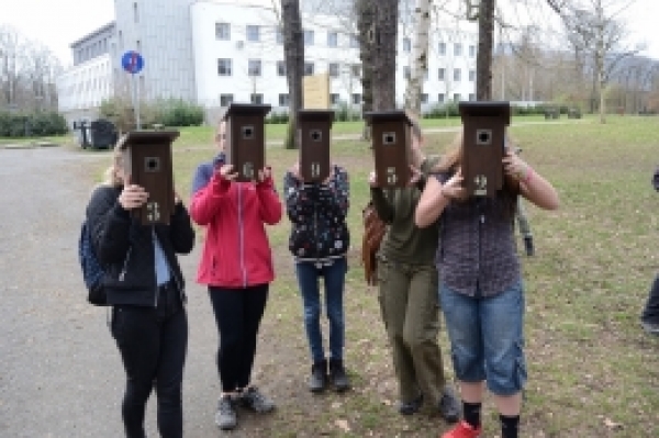 Vyvěšování ptačích budek na Mariánské louce