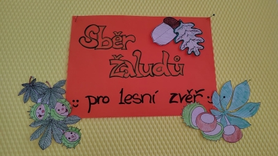 Sběr kaštanů a žaludů pro lesní zvěř