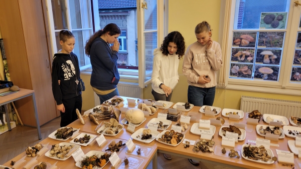 Mykologická výstava v Ústí nad Labem