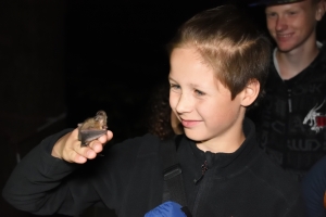 Mezinárodní noc pro netopýry