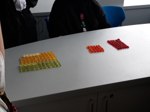 Výroba vlnostroje - fyzika 8. ročník