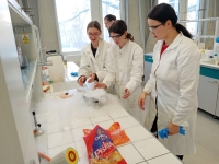 Chemický wokshop na UJEP