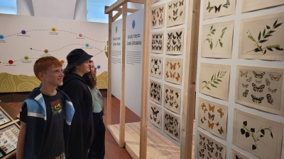 Muzeum Teplice – výstava hmyz