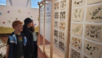 Muzeum Teplice – výstava hmyz