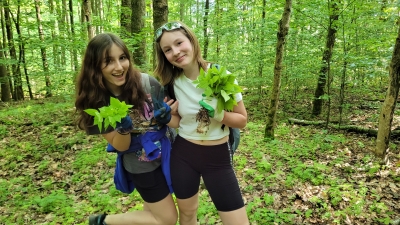 Brigáda na Růžovském vrchu